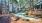 Pool1