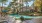 a swimming pool in a backyard