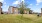 a tree in a grassy field